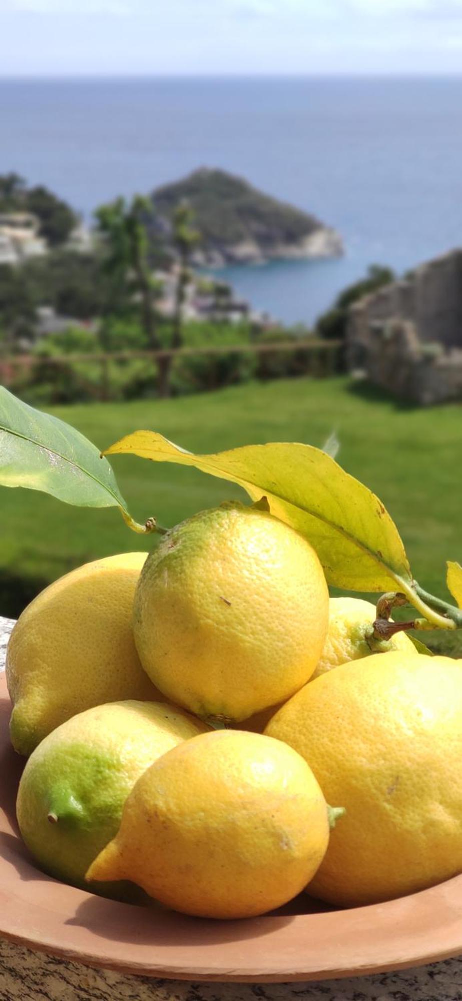 Il Giardino Sull'Isola - Appartamento - Bergeggi Ngoại thất bức ảnh