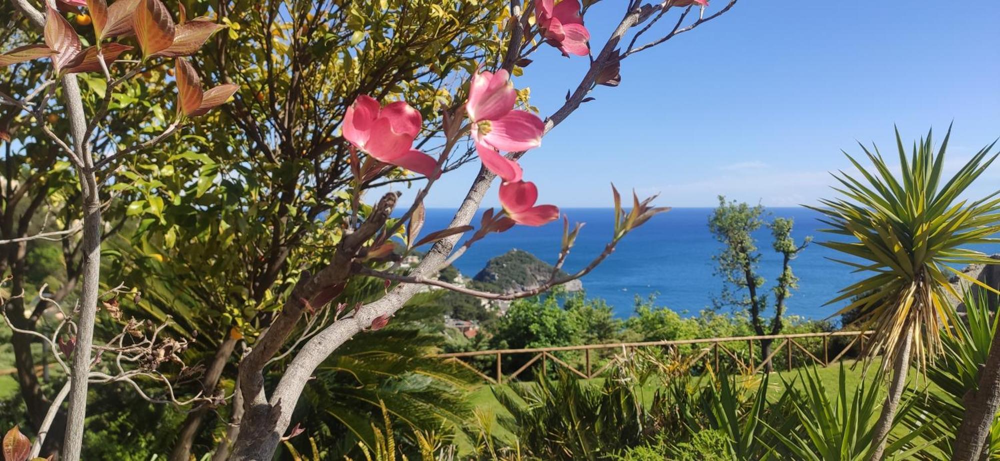 Il Giardino Sull'Isola - Appartamento - Bergeggi Ngoại thất bức ảnh